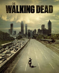 Walking Dead Glossy Poster